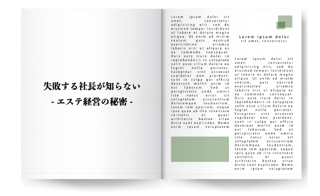 失敗する社長が知らない-エステ経営の秘密-